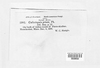 Image Associated With the Occurence